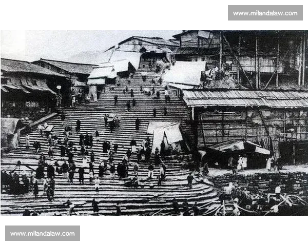 好莱坞弃之十年，中国拍出热血逆袭：重庆码头工的橄榄传奇